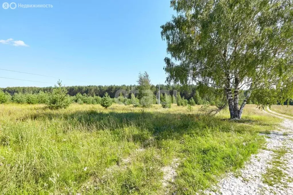 Участок в деревня Шумилово, Радужная улица (10 м) - Фото 1