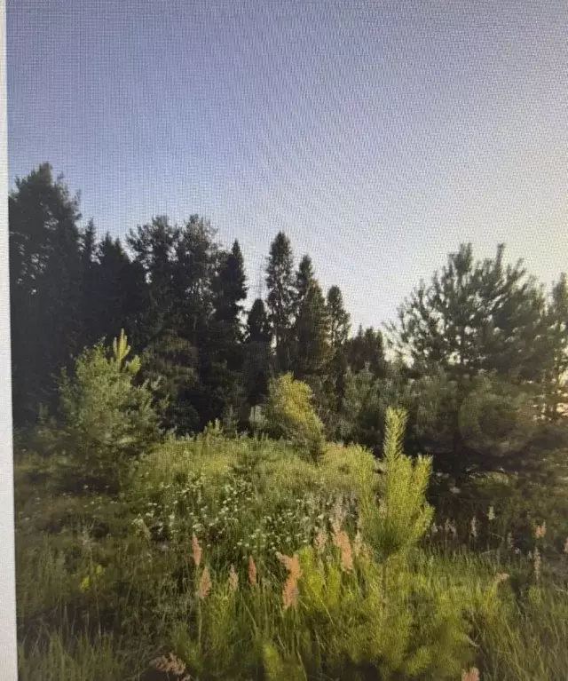 Участок в Кировская область, Слободской район, д. Шихово ул. Лесная ... - Фото 1