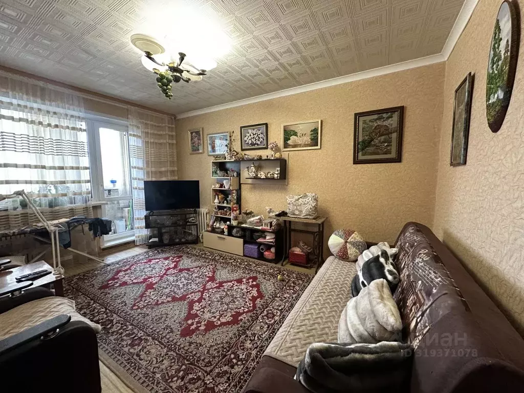 3-к кв. Липецкая область, Липецк ул. Смургиса, 7 (64.0 м) - Фото 0