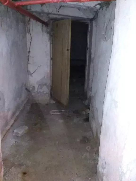 Помещение свободного назначения в Брянская область, Брянск ул. ... - Фото 1