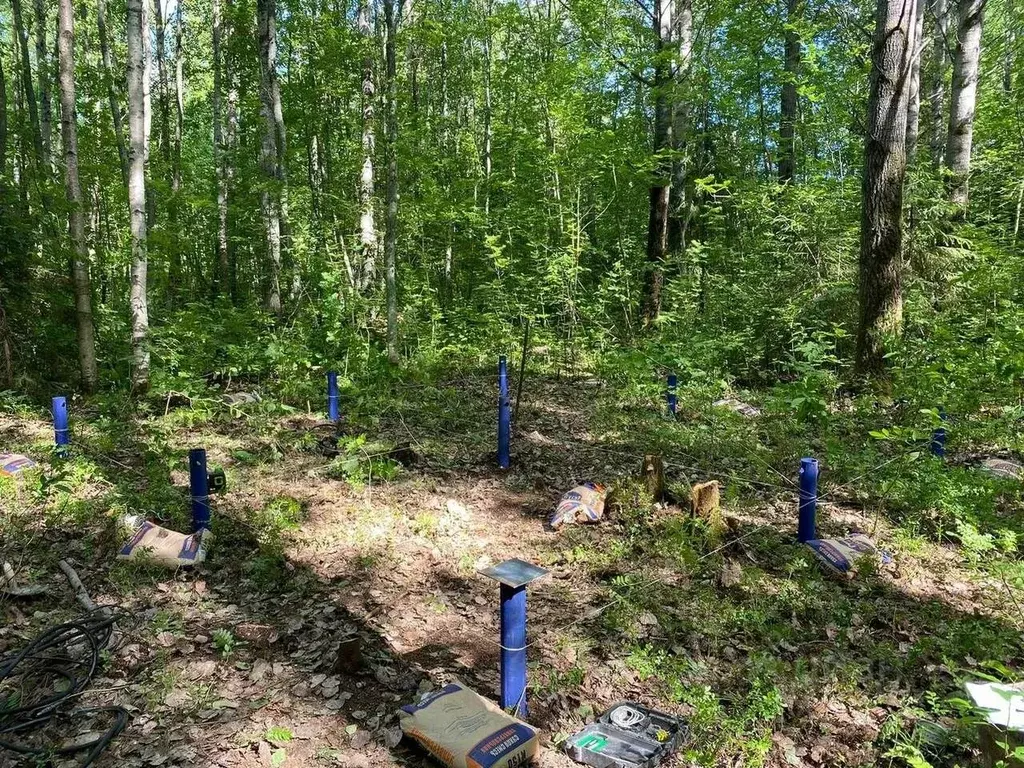 Участок в Архангельская область, Приморский муниципальный округ, д. ... - Фото 1