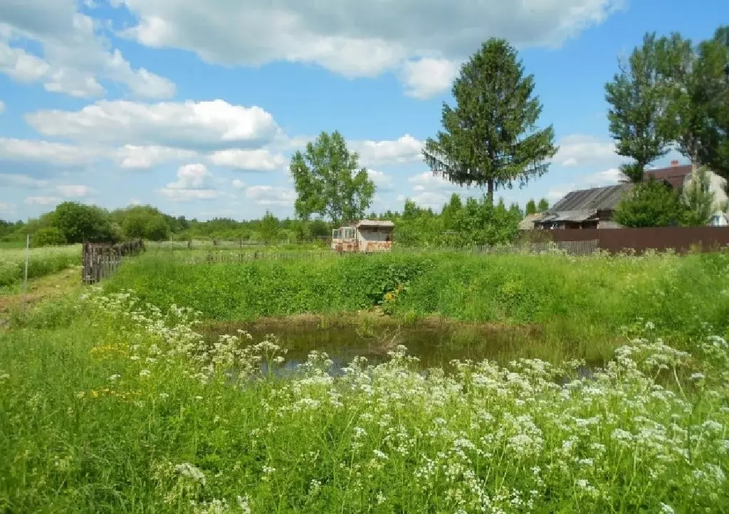 Продается участок в д. Акулово - Фото 1