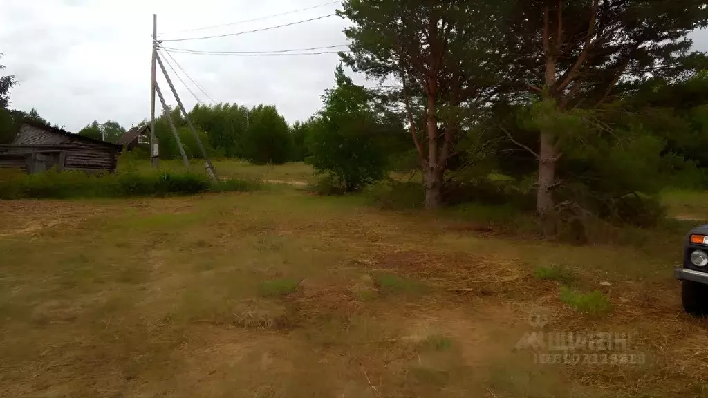 Участок в Тверская область, Пеновский муниципальный округ, д. Боровое  ... - Фото 1