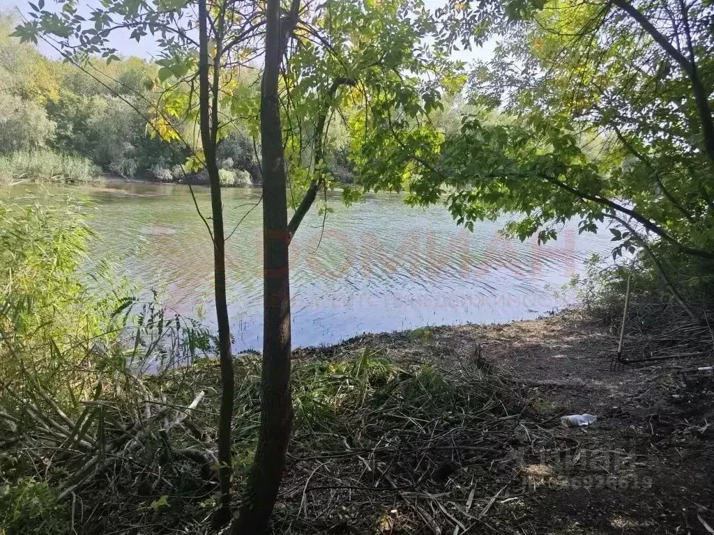 Участок в Ростовская область, Багаевский район, Ажиновское с/пос, ... - Фото 1