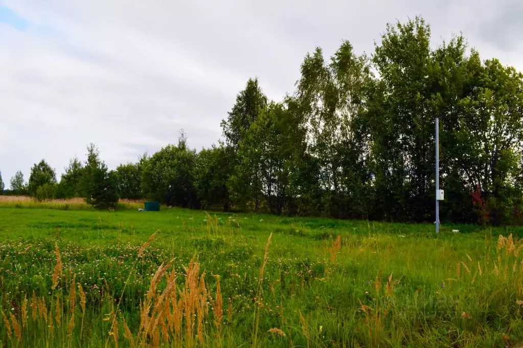 Участок в Московская область, Домодедово городской округ, пос. ... - Фото 2