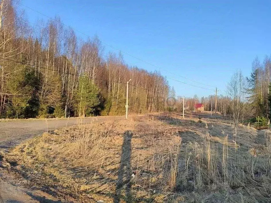 Участок в Ярославская область, Ярославский муниципальный округ, д. ... - Фото 2