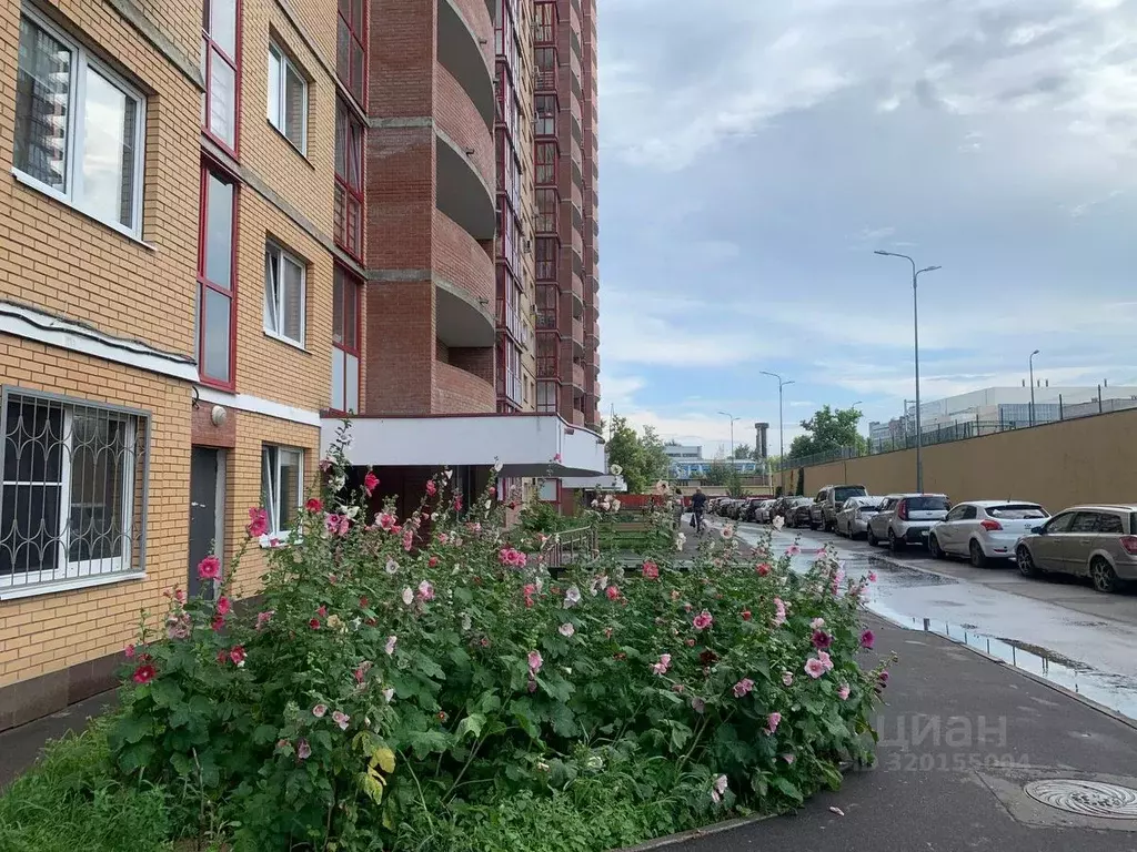 Студия Московская область, Королев Пионерская ул., 13к5 (32.0 м) - Фото 1