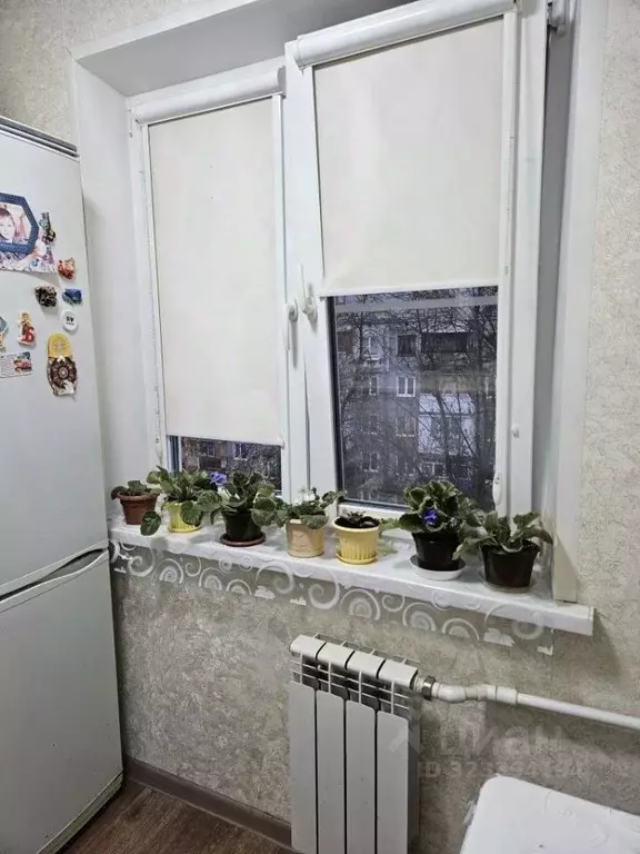 2-к кв. Нижегородская область, Нижний Новгород Автомеханическая ул., ... - Фото 1