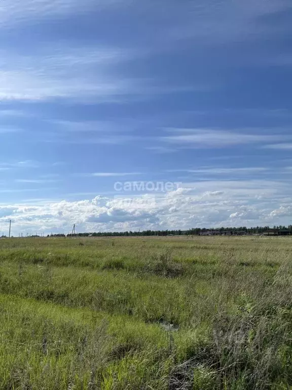 Участок в Ульяновская область, Ульяновск городской округ, с. Луговое ... - Фото 1