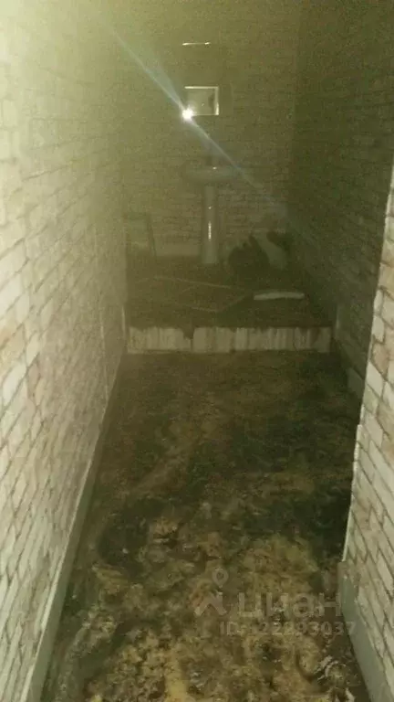 Помещение свободного назначения в Оренбургская область, Оренбург ... - Фото 2