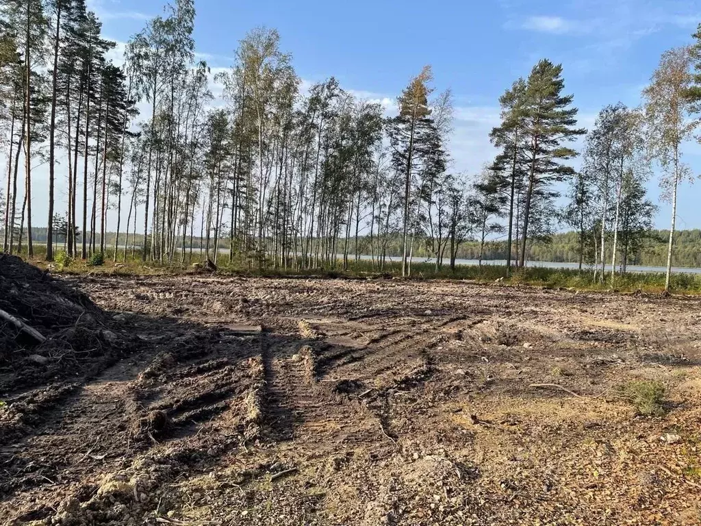 Участок в Ленинградская область, Всеволожский район, Токсовское ... - Фото 1