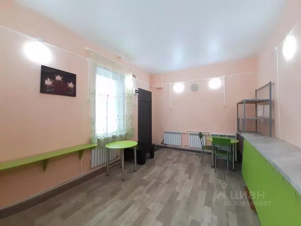 Помещение свободного назначения в Алтайский край, Немецкий ... - Фото 1