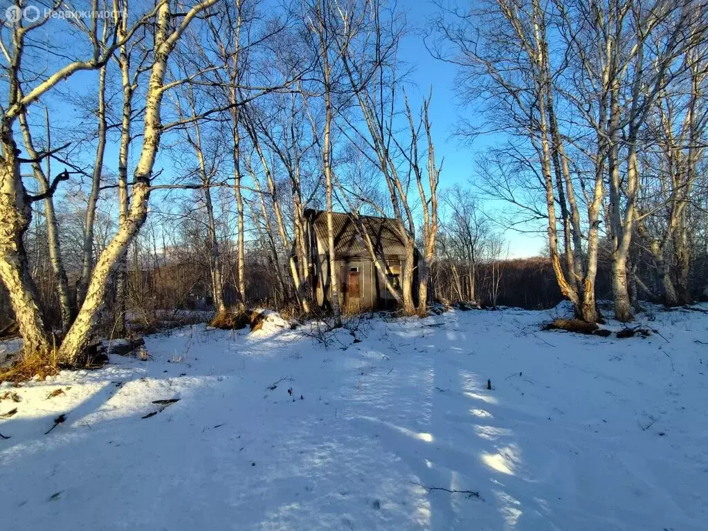 Дом в Камчатский край, Елизовский муниципальный округ, посёлок ... - Фото 2