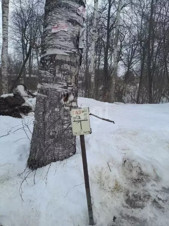 Участок в Калужская область, Ферзиковский район, Красный Городок ... - Фото 2