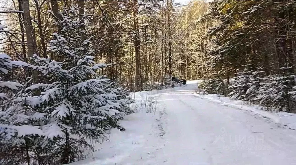 Участок в Ленинградская область, Всеволожский район, Рахьинское ... - Фото 1