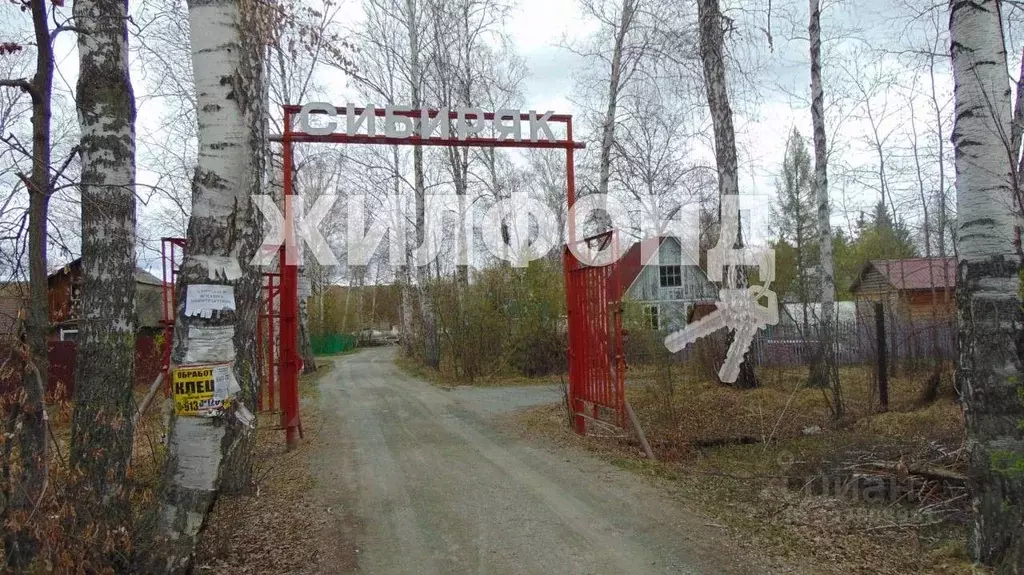 Дом в Новосибирская область, Тогучинский район, Сибиряк садовое ... - Фото 0