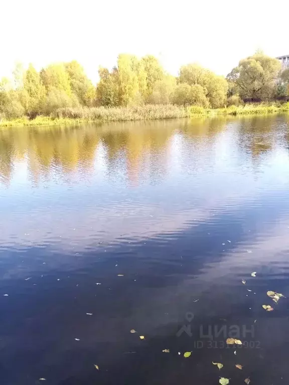 Участок в Тверская область, Конаковский муниципальный округ, д. ... - Фото 2