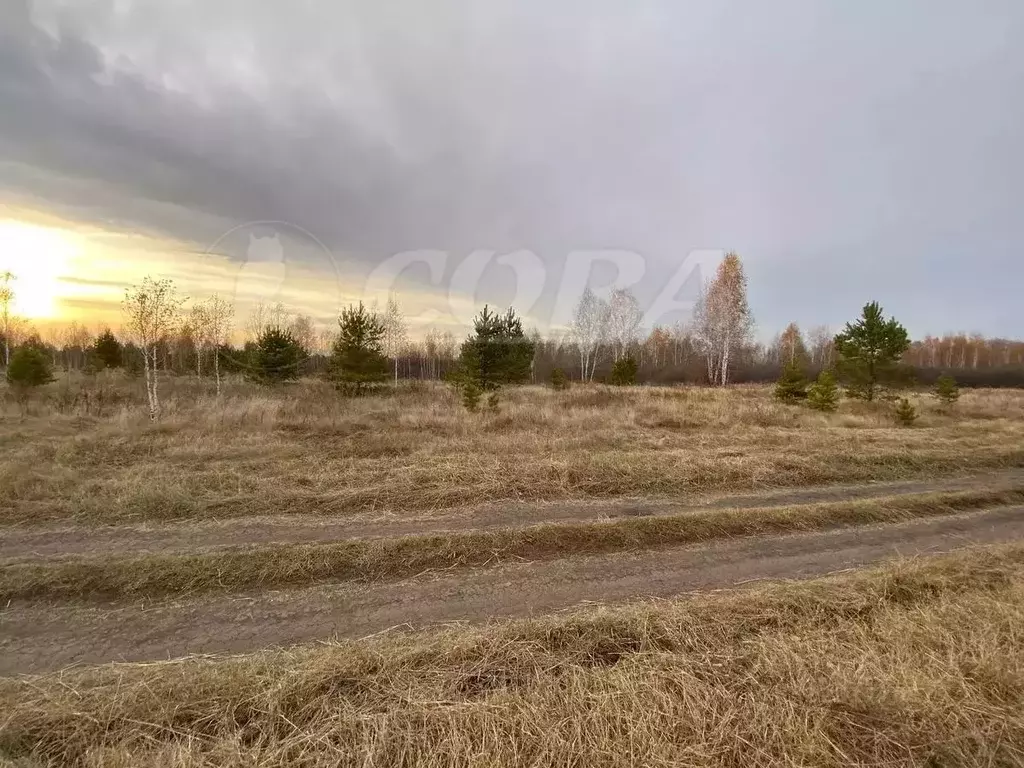 Участок в Курганская область, Кетовский муниципальный округ, ... - Фото 1