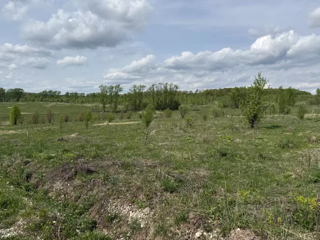 Участок в Тульская область, Тула городской округ, д. Погромное  (20.0 ... - Фото 1