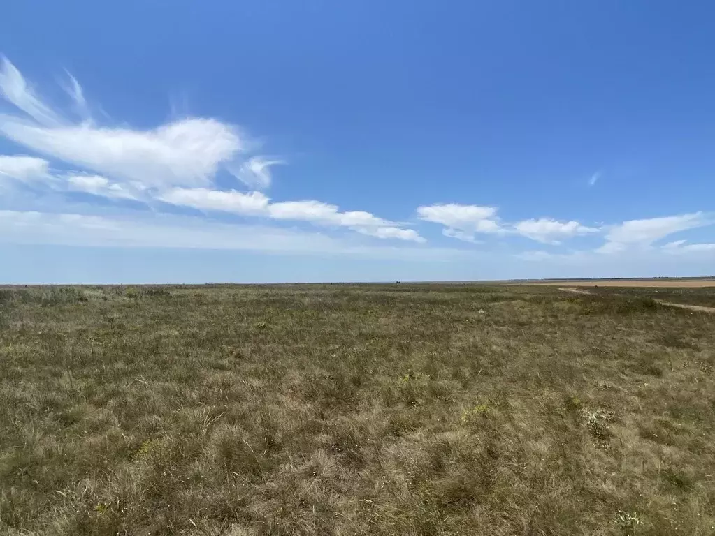 Участок в Крым, Черноморский район, с. Новоивановка ул. Цветочная ... - Фото 0