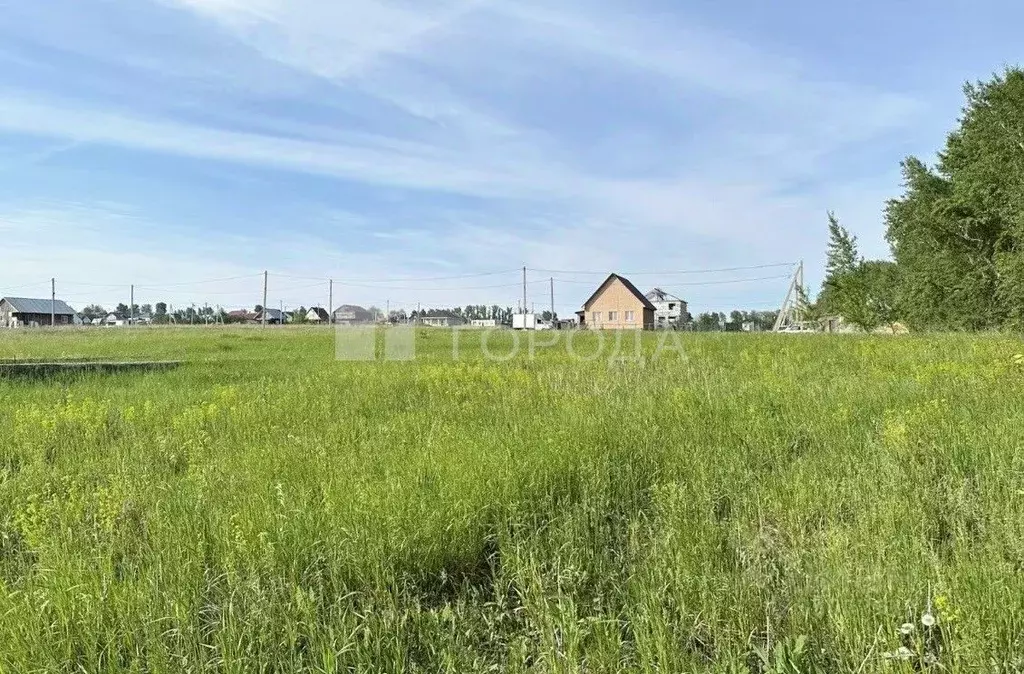 Участок в Алтайский край, Барнаул городской округ, пос. Центральный ... - Фото 1
