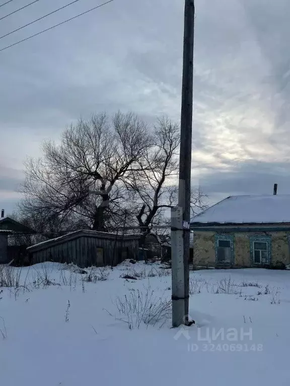 Участок в Мордовия, Ромодановский район, д. Лыковщина Республиканская ... - Фото 1