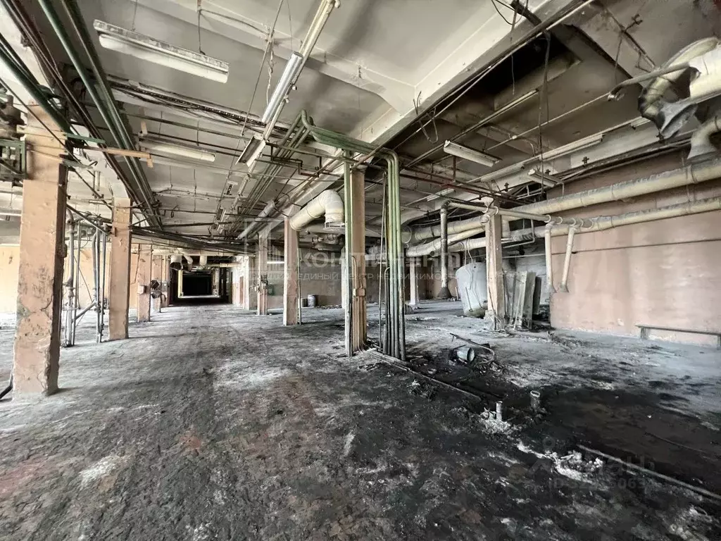 Помещение свободного назначения в Владимирская область, Владимир ... - Фото 2