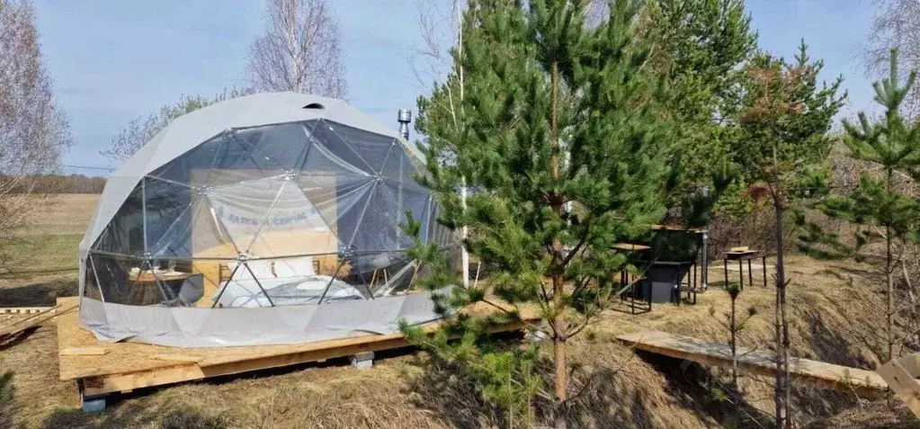 Участок в Свердловская область, Заречный городской округ, с. Мезенское ... - Фото 1