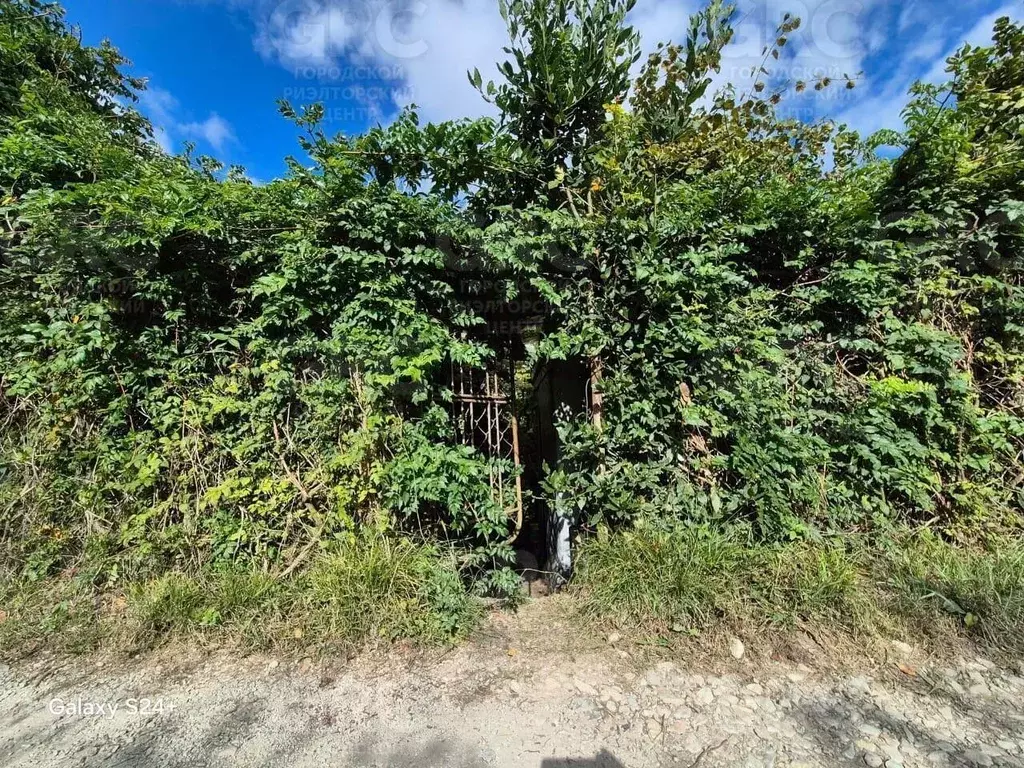 Участок в Краснодарский край, Сочи городской округ, с. Каштаны, ... - Фото 0