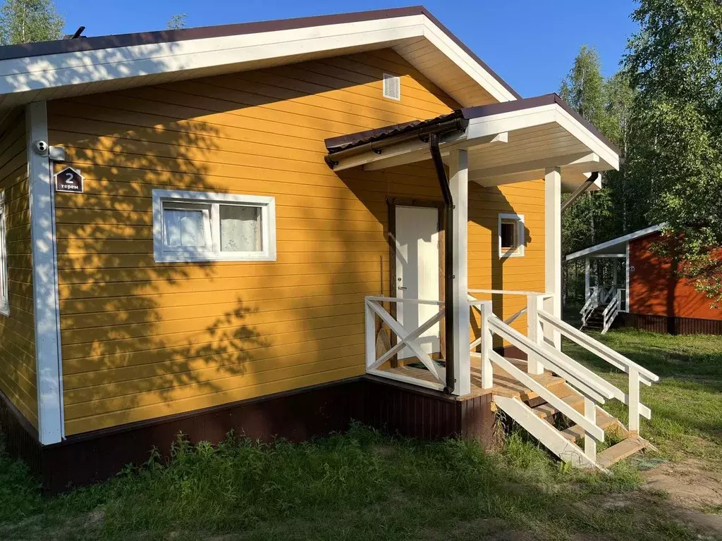 Дом в Новгородская область, Любытинское с/пос, д. Бор 129 (68 м) - Фото 0