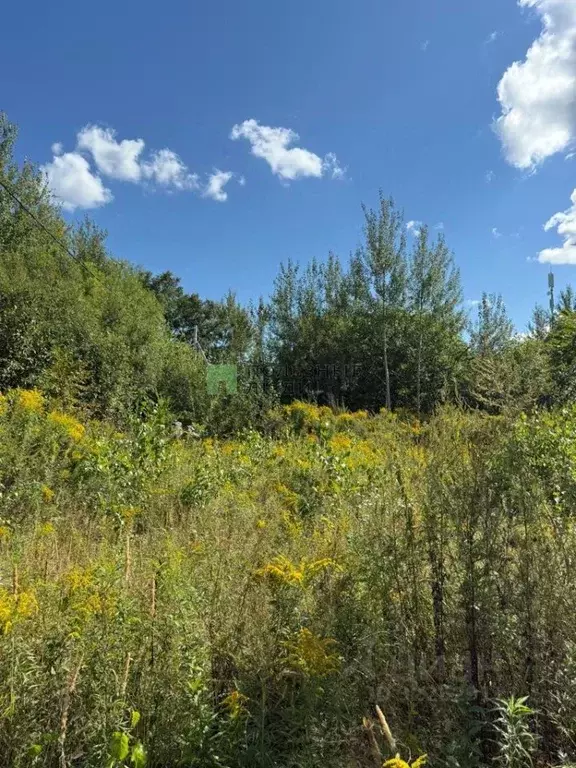 Участок в Хабаровский край, Хабаровск Луганская ул., 17 (9.89 сот.) - Фото 1