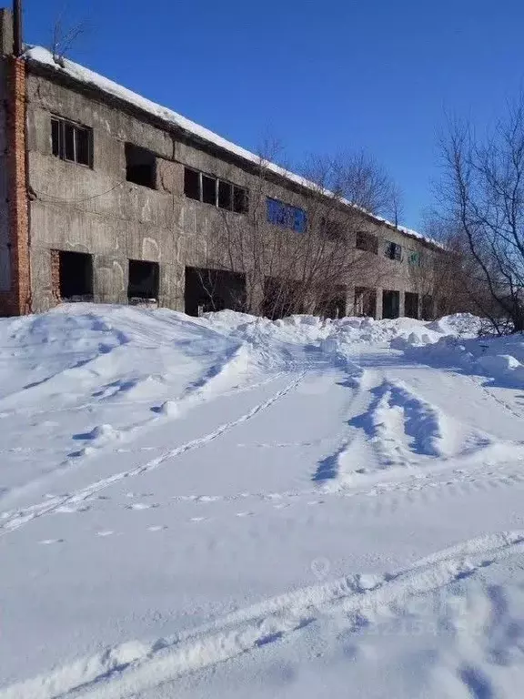 Помещение свободного назначения в Алтайский край, Красногорский район, ... - Фото 1