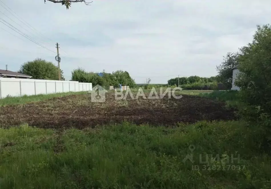 Участок в Воронежская область, Хохольский район, с. Гремячье ... - Фото 2