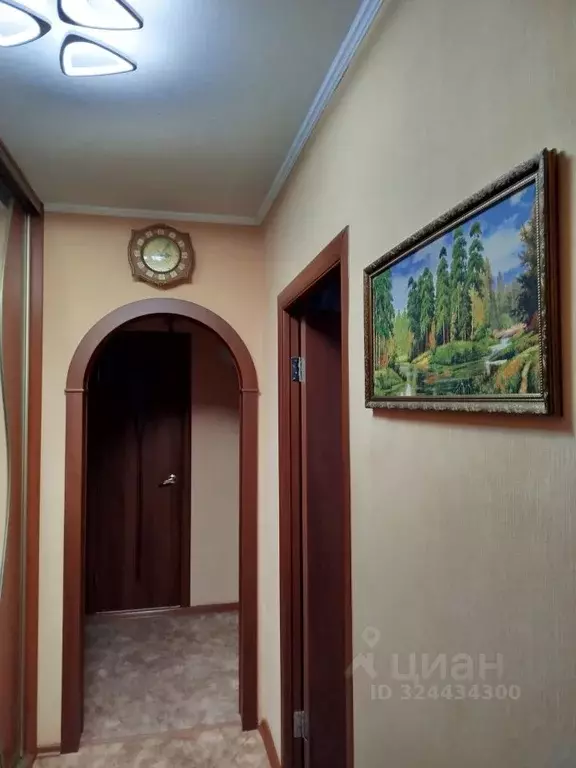 2-к кв. Курганская область, Курган ул. Криволапова, 10 (50.2 м) - Фото 2