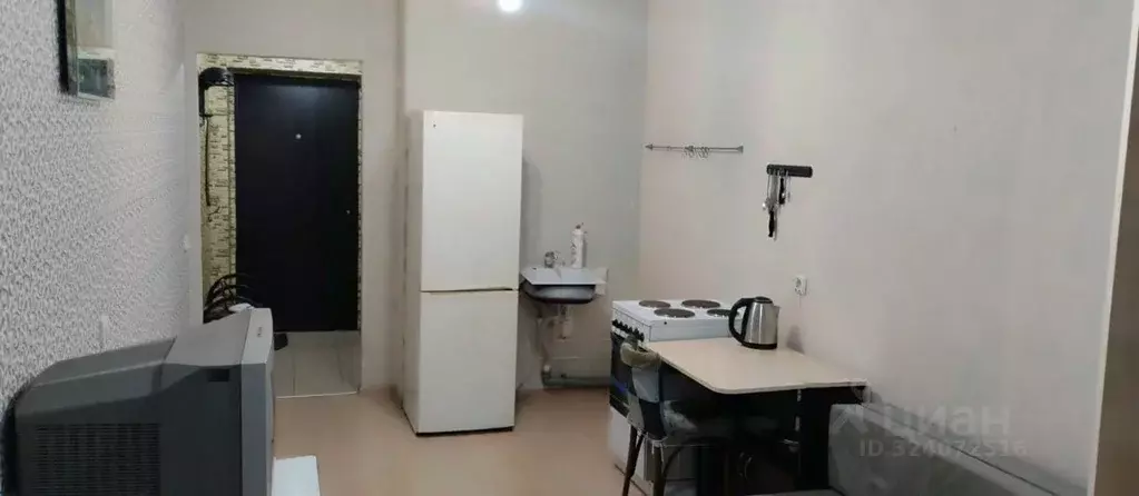 Студия Башкортостан, Уфимский район, с. Михайловка ул. Сливовая, 3 ... - Фото 1