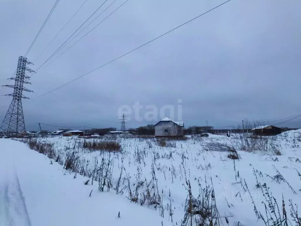 Участок в Архангельская область, Архангельск М-8 Холмогоры, 1226-й км ... - Фото 1
