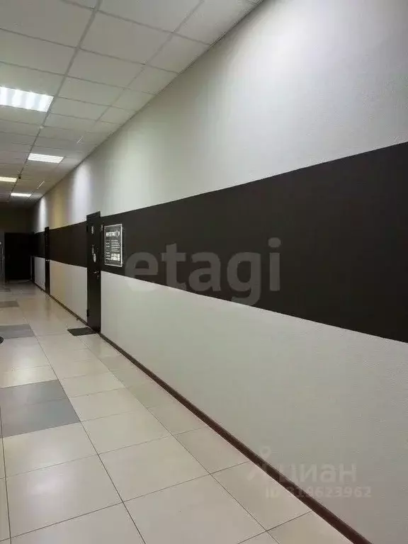 Помещение свободного назначения в Белгородская область, Белгород ул. ... - Фото 1