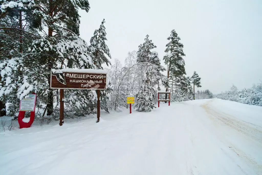 Участок в Рязанский муниципальный округ, деревня Деулино (47 м) - Фото 2