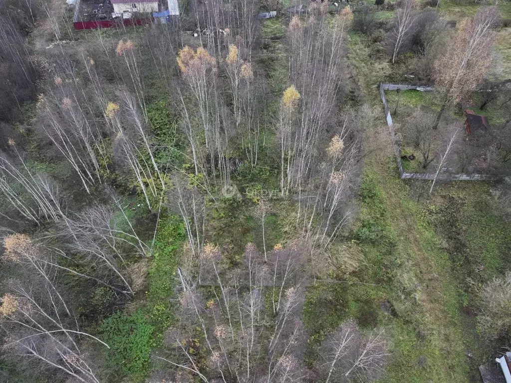 Участок в Московская область, Богородский городской округ, имени ... - Фото 2
