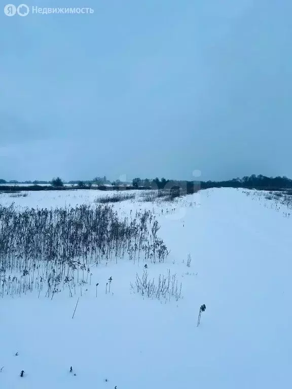 Участок в Калининградская область, Гвардейский муниципальный округ, ... - Фото 1