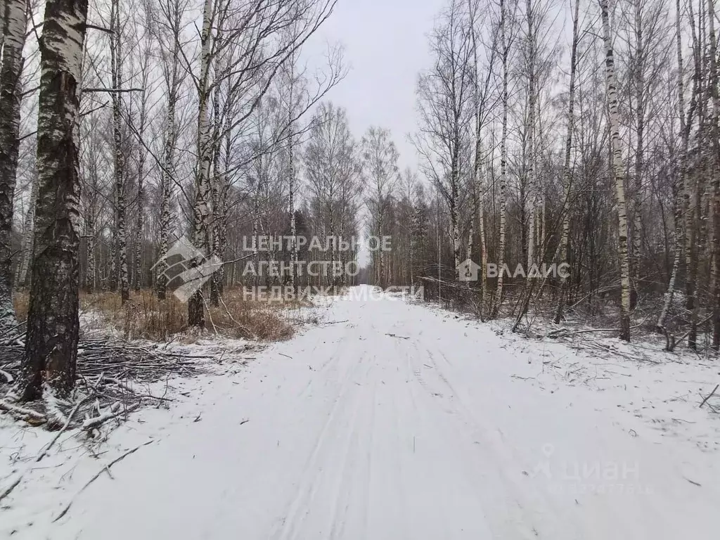 Участок в Рязанская область, Клепиковский район, Ненашкинское с/пос, ... - Фото 1