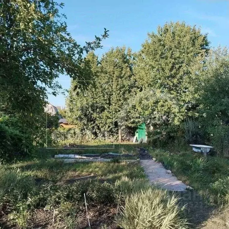 Дом в Воронежская область, Воронеж Радуга СНТ, ул. Мечтателей (25 м) - Фото 1