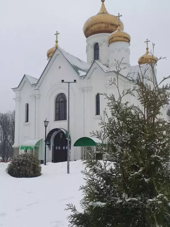 2-к кв. Ленинградская область, Всеволожский район, Дубровское ... - Фото 1