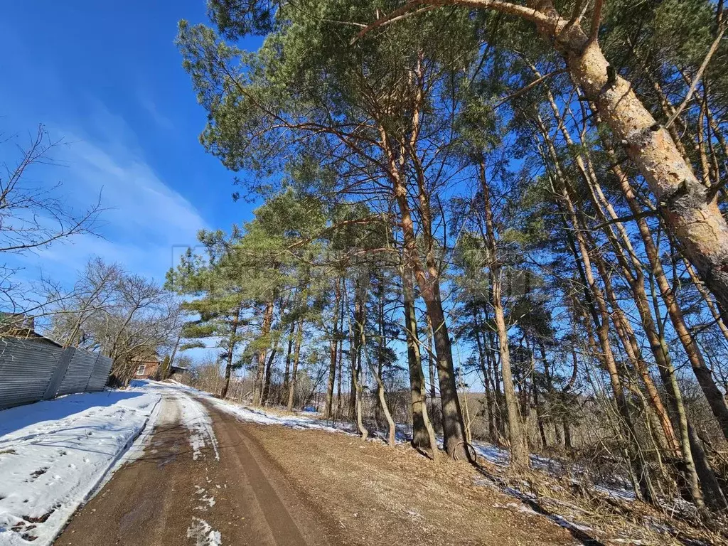 Участок в Смоленская область, Смоленск пер. 7-й Северный (10.0 сот.) - Фото 0