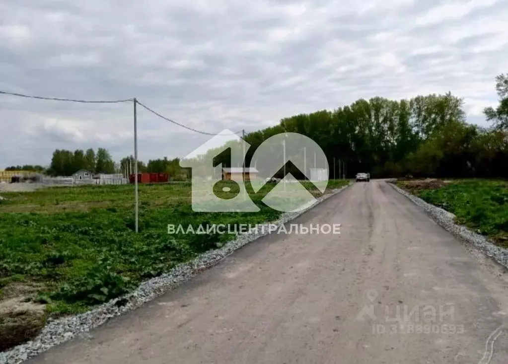 Участок в Новосибирская область, Новосибирский район, Морской ... - Фото 1