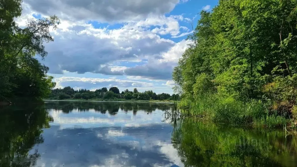 Участок в Московская область, Рузский муниципальный округ, д. ... - Фото 2