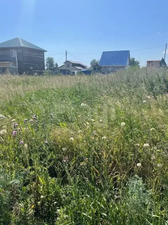 Участок в Омская область, Омский район, пос. Новоомский ул. Речная ... - Фото 2