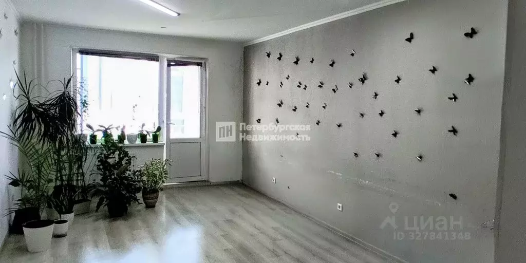 Студия Ленинградская область, Ломоносовский район, Виллозское ... - Фото 1