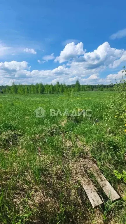 Участок в Московская область, Можайский муниципальный округ, Лесное 2 ... - Фото 2
