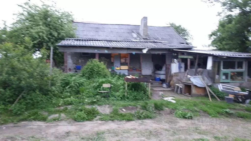 Дом в Калининградская область, Зеленоградский муниципальный округ, ... - Фото 1